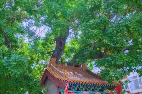 呼延氏的人主要迁徙位置和宗祠对联-姓名学-华易算命网姓名