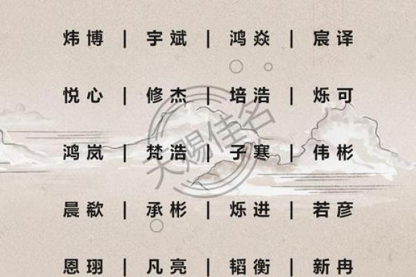 上午11点出生的属鸡男孩适合怎么样取名字姓名