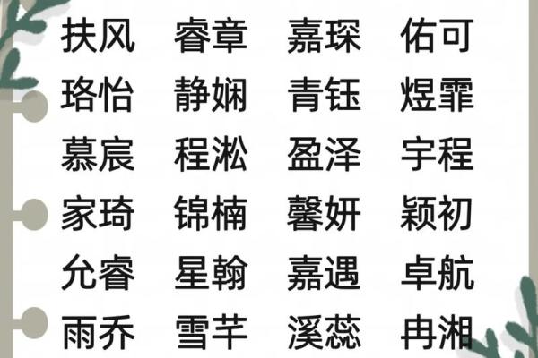 属龙亥时出生的男孩起什么名，应该用什么字姓名