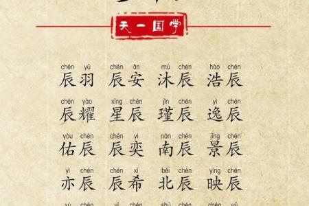 属猪辰时出生的男孩如何取名字，宜用什么字姓名