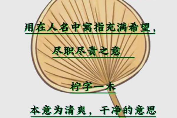 纪姓女孩名字大全-纪姓女孩起名字大全-纪姓名字大全姓名
