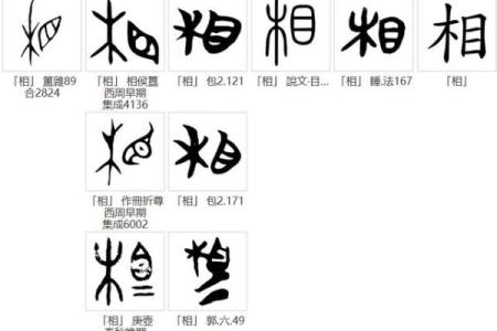姓殳的名人-姓名学-华易算命网姓名