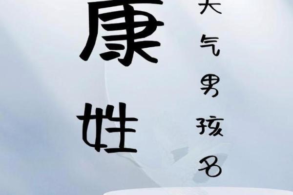 康姓男孩名字大全-康姓男孩起名字大全-康姓名字大全姓名