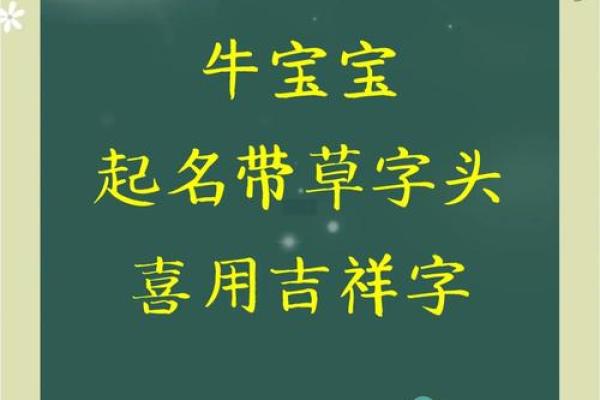 晚上1点出生的属牛男孩宜用什么字取名姓名