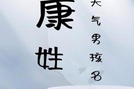 康姓男孩名字大全-康姓男孩起名字大全-康姓名字大全姓名