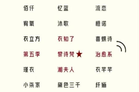 服装公司名字大全-名字大全姓名