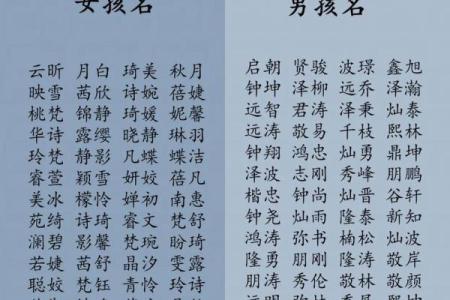 2019年3月20号午时出生的男孩起名方法姓名