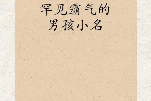 2019年3月26号未时出生的男孩要怎么起名字姓名