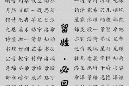 2019年6月24号寅时出生的男孩应该起什么样的名字姓名