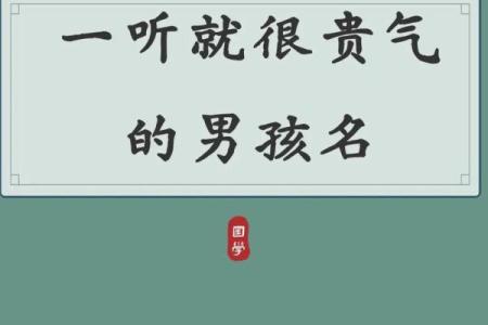 2019年3月26号未时出生的男孩要怎么起名字姓名