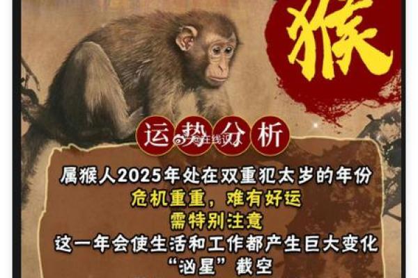 属猴丑时出生的男孩怎样取名字，宜用哪些字姓名
