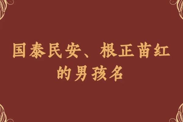 2019年6月9号丑时出生的男孩要怎么起名字姓名