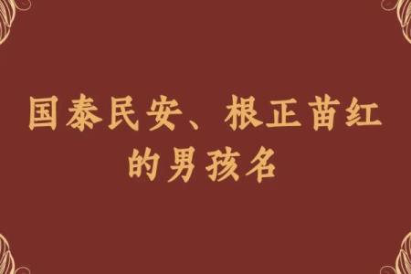 2019年6月9号丑时出生的男孩要怎么起名字姓名