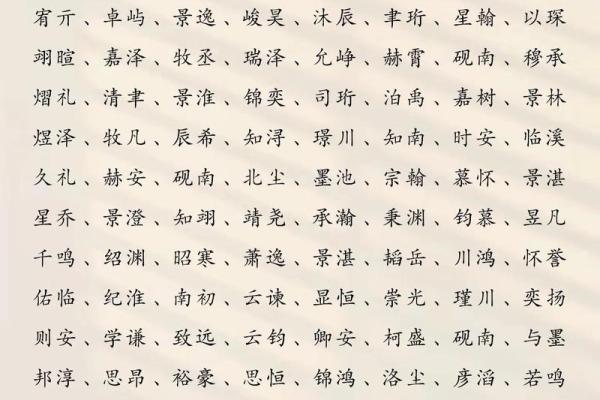 2019年3月17号子时出生的男孩要怎么起名字姓名
