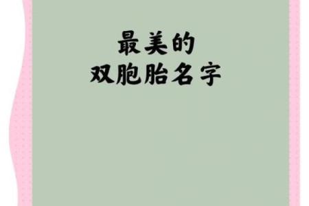 双胞胎取名用成语联贯法和地名联贯法怎么取-姓名学-华易网姓名