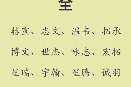 2019年5月3号卯时出生的男孩应该起什么样的名字姓名