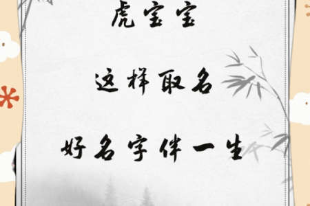 晚上1点出生的属虎男孩如何起名，用什么字姓名