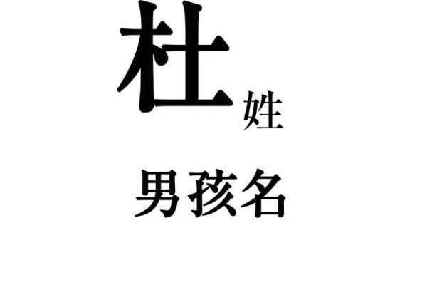杜姓女孩名字大全-杜姓女孩起名字大全-杜姓名字大全姓名
