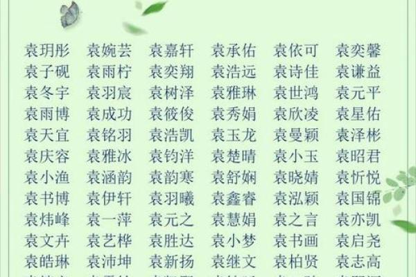 袁姓女孩名字大全-袁姓女孩起名字大全-袁姓名字大全姓名