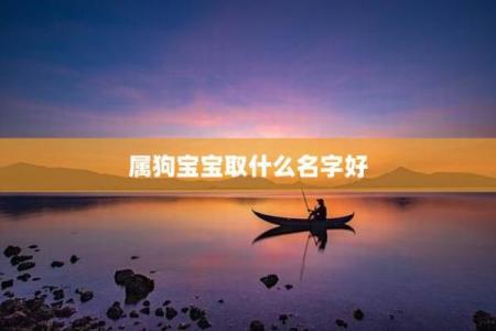 一月份出生的属狗男孩如何取名字姓名