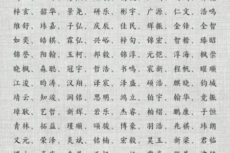 2019年5月31号子时出生的男孩应该起什么样的名字姓名