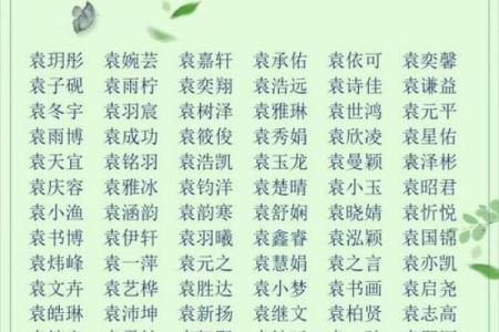 袁姓女孩名字大全-袁姓女孩起名字大全-袁姓名字大全姓名