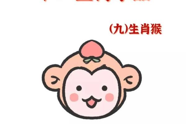 中午十二点出生的属猴男孩如何取名，适合什么字姓名