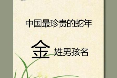 2019年4月22号寅时出生的男孩起名方法姓名
