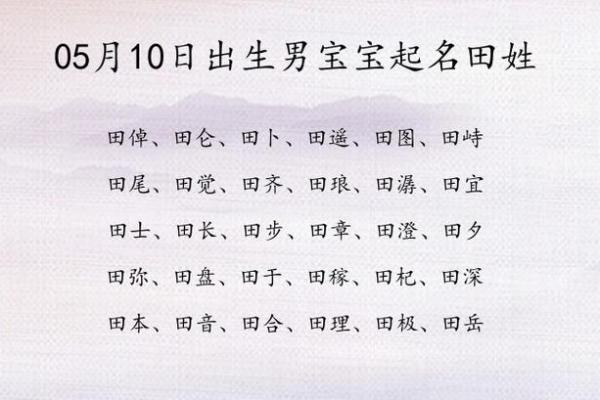 2019年5月19号寅时出生的男孩应该起什么样的名字姓名