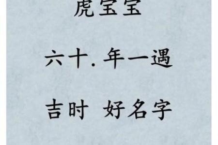 早上7点出生的属虎男孩怎么起名，适合什么字姓名