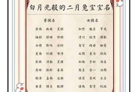 申时出生的属兔男孩适合取什么样的名字姓名