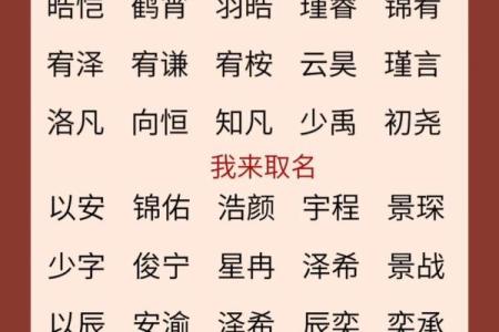 2019年4月30号卯时出生的男孩起名时要注意什么姓名