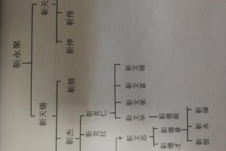 靳姓女孩名字大全-靳姓女孩起名字大全-靳姓名字大全姓名