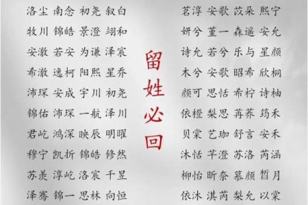 2019年5月22号寅时出生的男孩起名方法姓名
