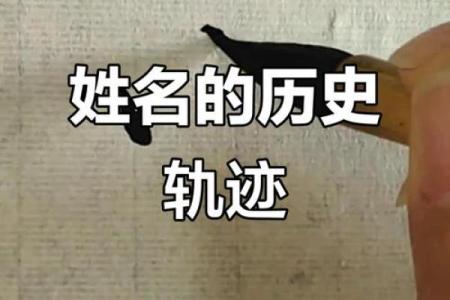 姓邵的名人-姓名学-华易算命网姓名
