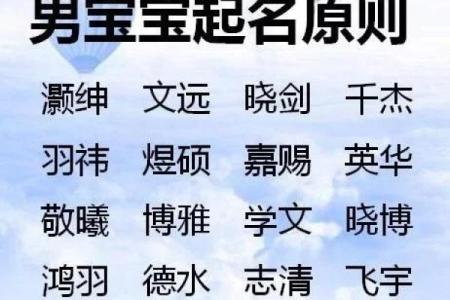 2019年3月27号辰时出生的男孩应该起什么样的名字姓名