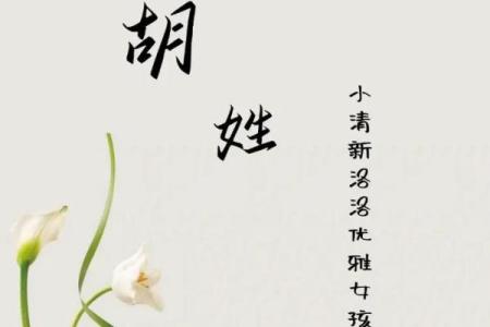 2019年出生的姓胡男孩如何起名，宜用什么字姓名