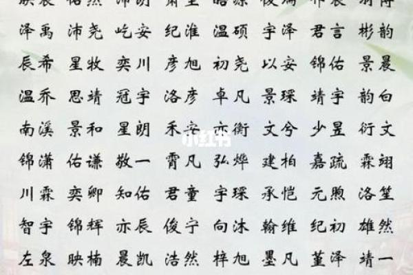 2019年4月13号卯时出生的男孩应该起什么样的名字姓名