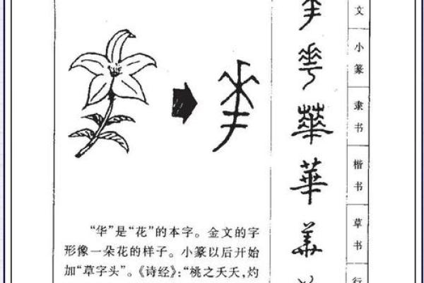 容易败婚的名字-姓名学-华易算命网姓名