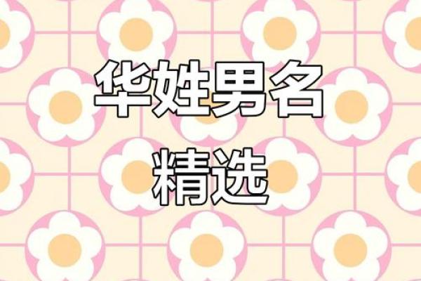 华姓男孩名字大全-华姓男孩起名字大全-华姓名字大全姓名