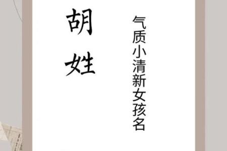 胡姓女孩名字大全-胡姓女孩起名字大全-胡姓名字大全姓名