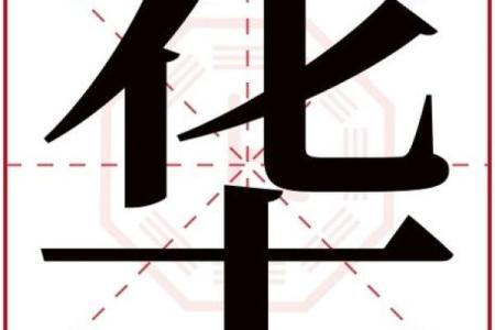 华姓男孩名字大全-华姓男孩起名字大全-华姓名字大全姓名
