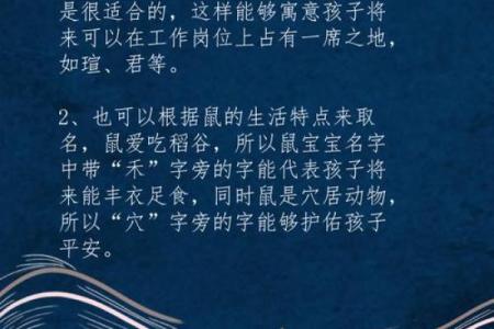 中午1点出生的属鼠男孩用什么字取名比较好姓名