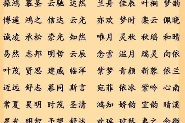 给晚上出生的属鼠男孩起名宜用什么字姓名