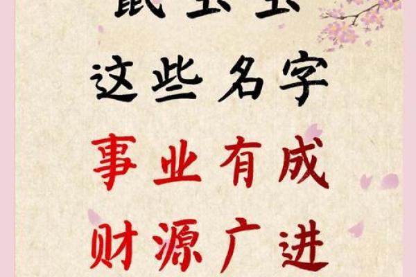 给晚上出生的属鼠男孩起名宜用什么字姓名