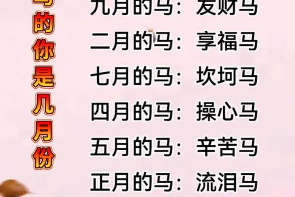 给四月份出生属马的男宝宝取什么名字好姓名