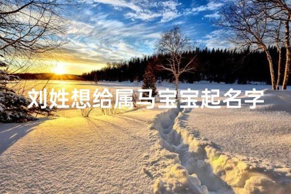 给四月份出生属马的男宝宝取什么名字好姓名