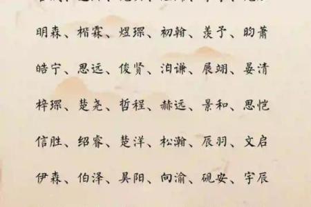 2019年4月10号卯时出生的男孩起名时要注意什么姓名