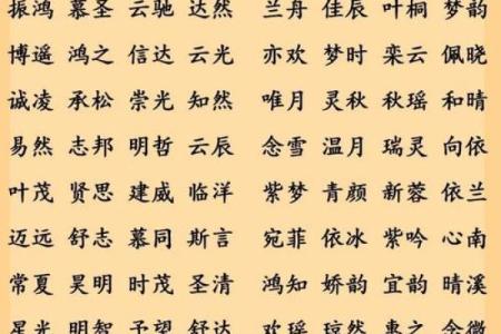 给晚上出生的属鼠男孩起名宜用什么字姓名