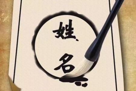 姓熊的名人-姓名学-华易算命网姓名